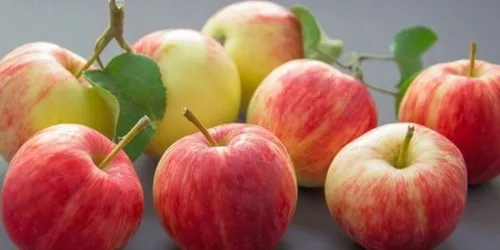Les 3 commandements pour une complémentation anti-allergie!