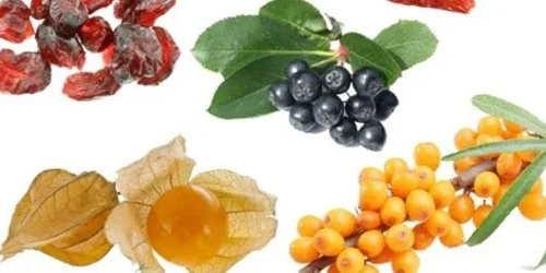 Les baies de Goji et les mélanges de baies super fruits.
