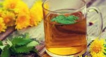 Phytothérapie : des plantes diurétiques pour éliminer et favoriser l’amincissement.