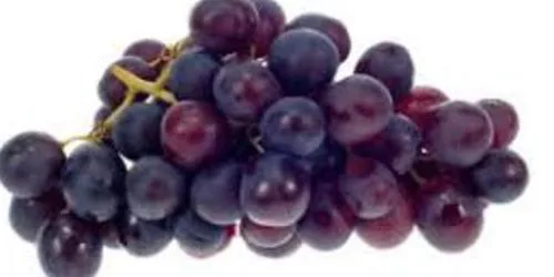 Le Raisin