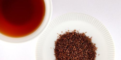 Le Rooibos, thé sans théine
