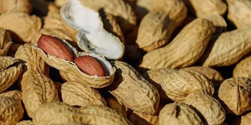 L'Arachide, pistache de terre et ses bienfaits.