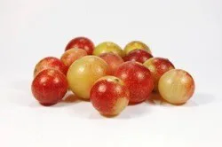 Le Camu Camu, vitamine C naturelle