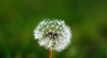 Alliance avec la force du changement…