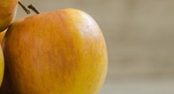 Jeûne ou monodiète pour soulager l’arthrose