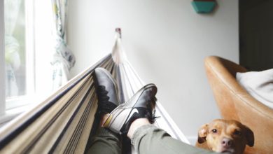 neurofeedback lâcher prise